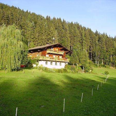 Ellmauhof Villa Pfarrwerfen Exterior photo
