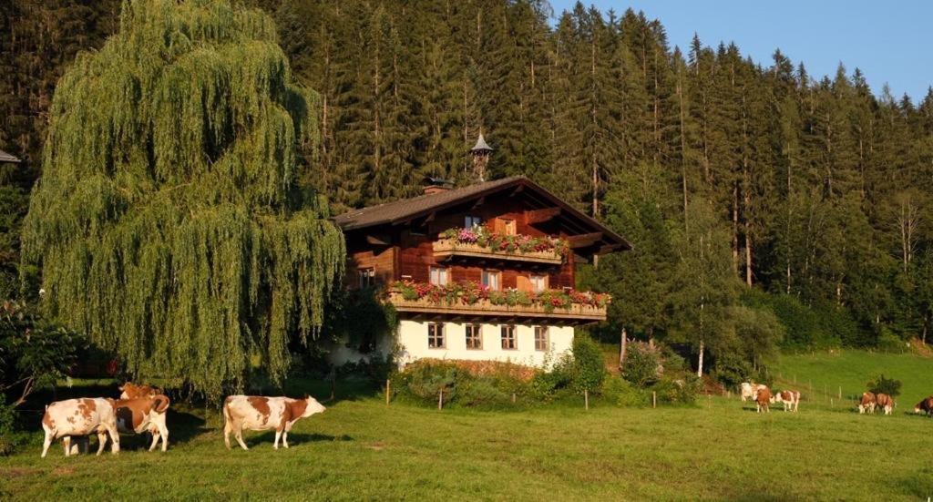 Ellmauhof Villa Pfarrwerfen Exterior photo