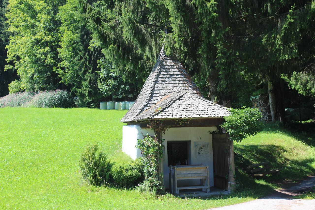 Ellmauhof Villa Pfarrwerfen Exterior photo